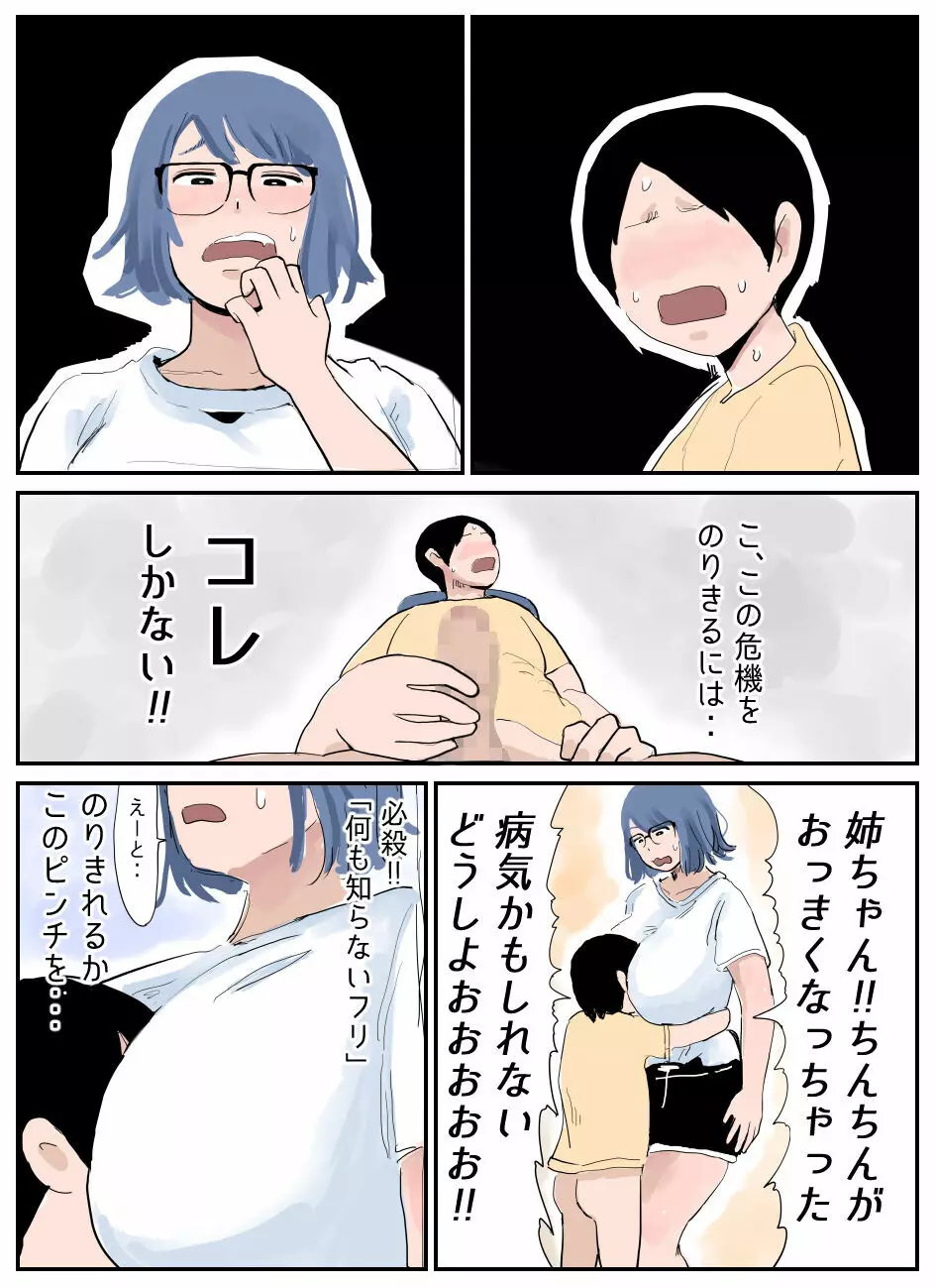 ぼくには姉がいます～まじめ長女と次女ヤンキー～