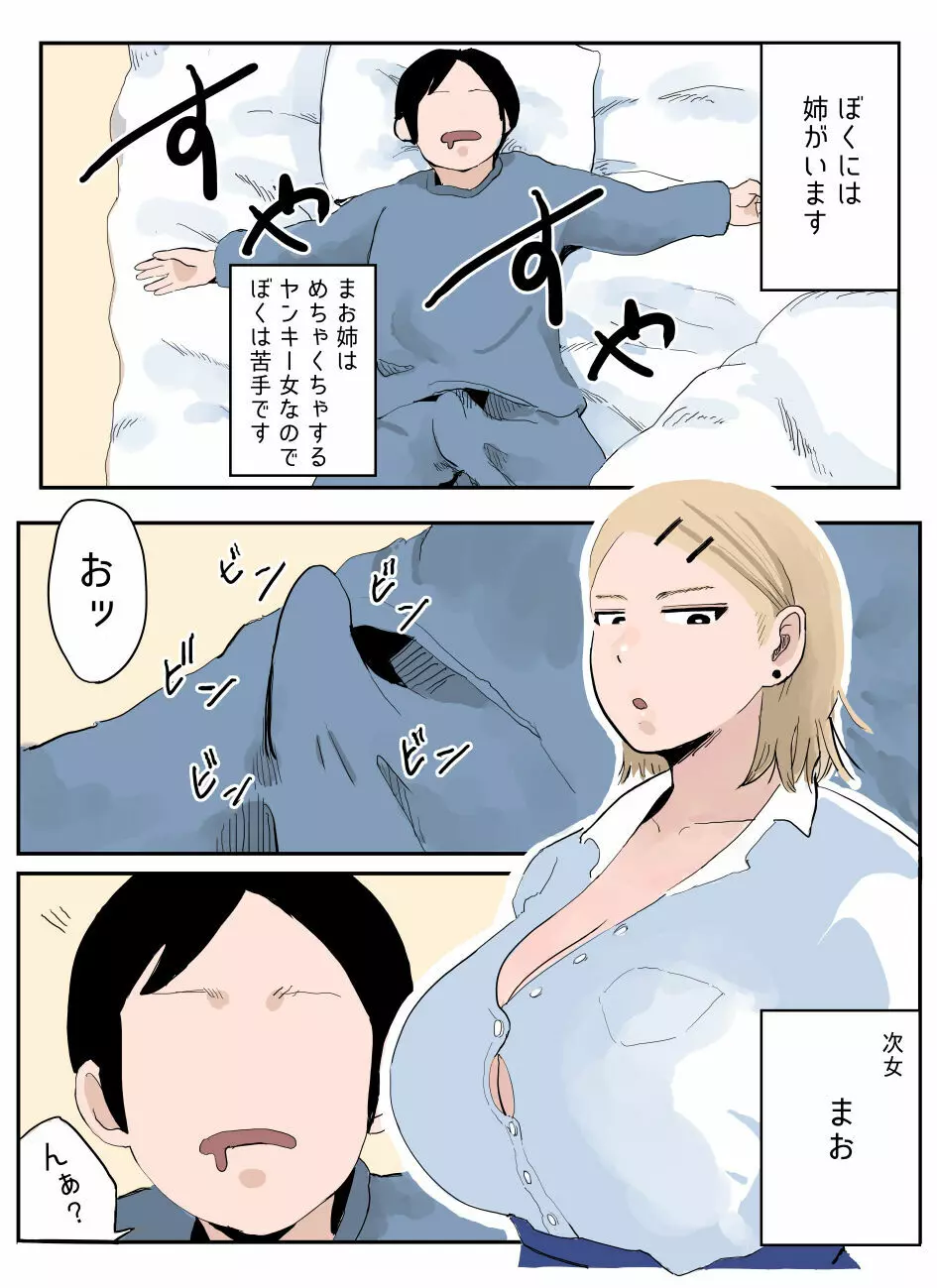 ぼくには姉がいます～まじめ長女と次女ヤンキー～