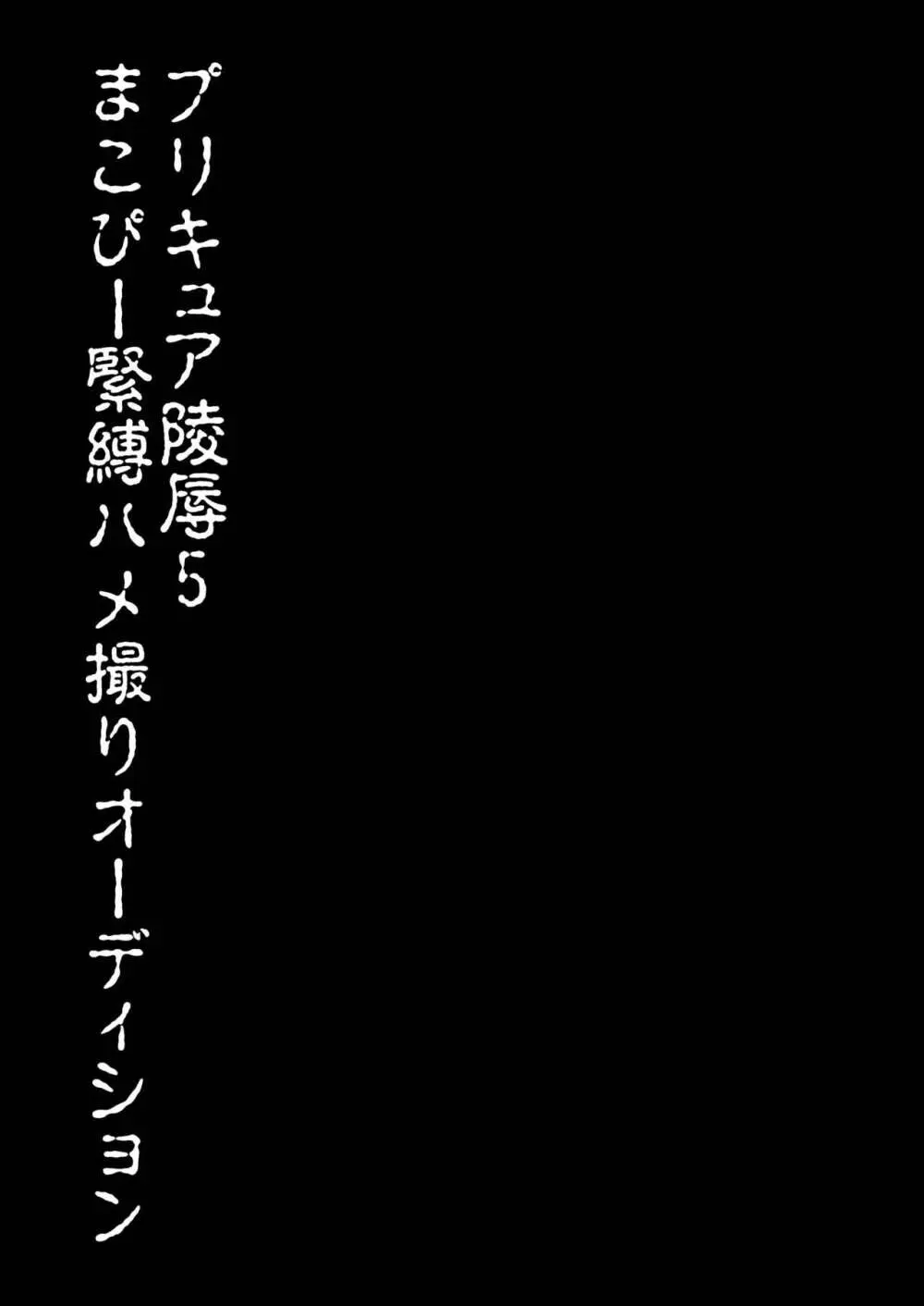 プリキュア陵辱5まこぴー緊縛ハメ撮りオーディション