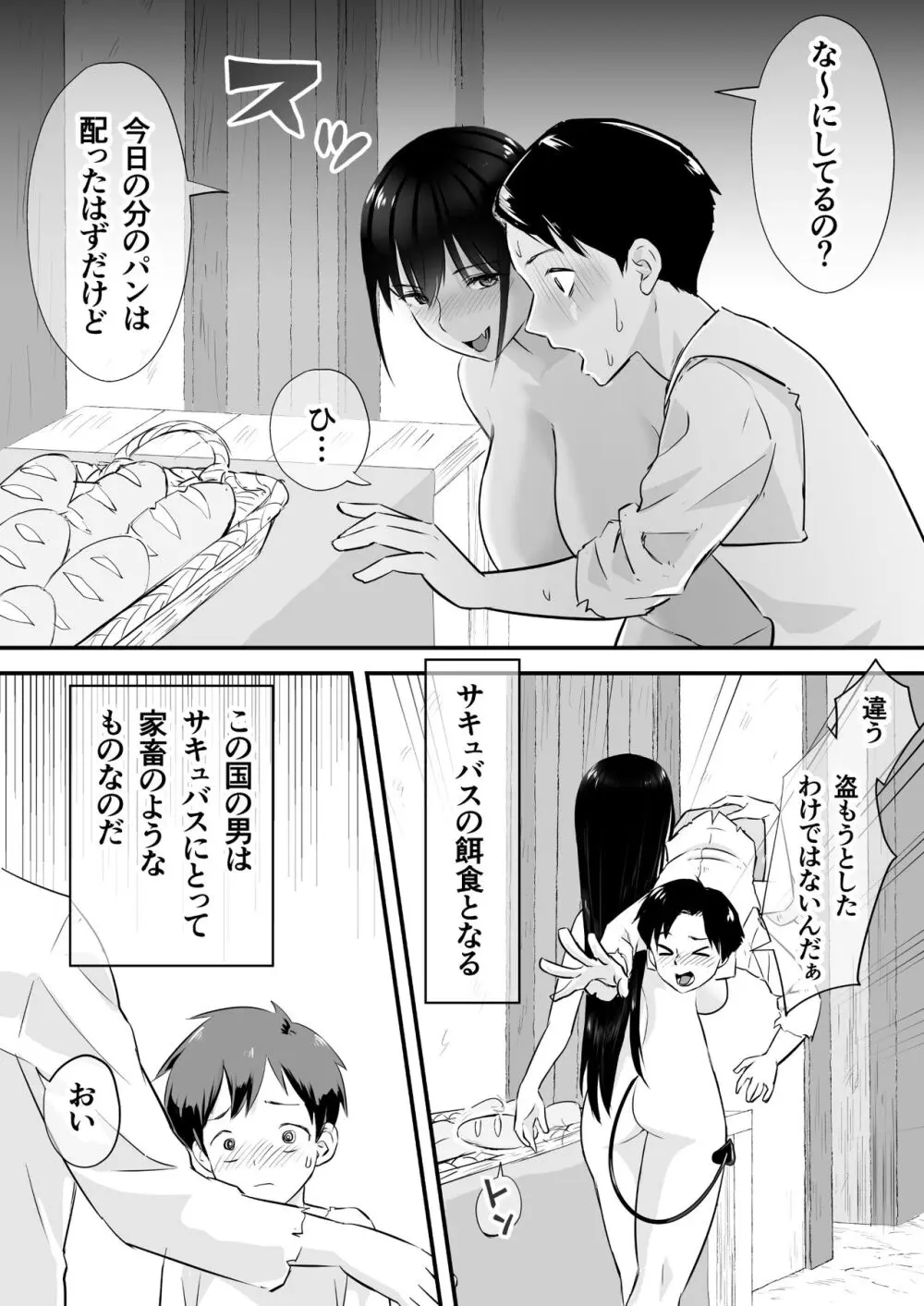 サキュバスに支配された国