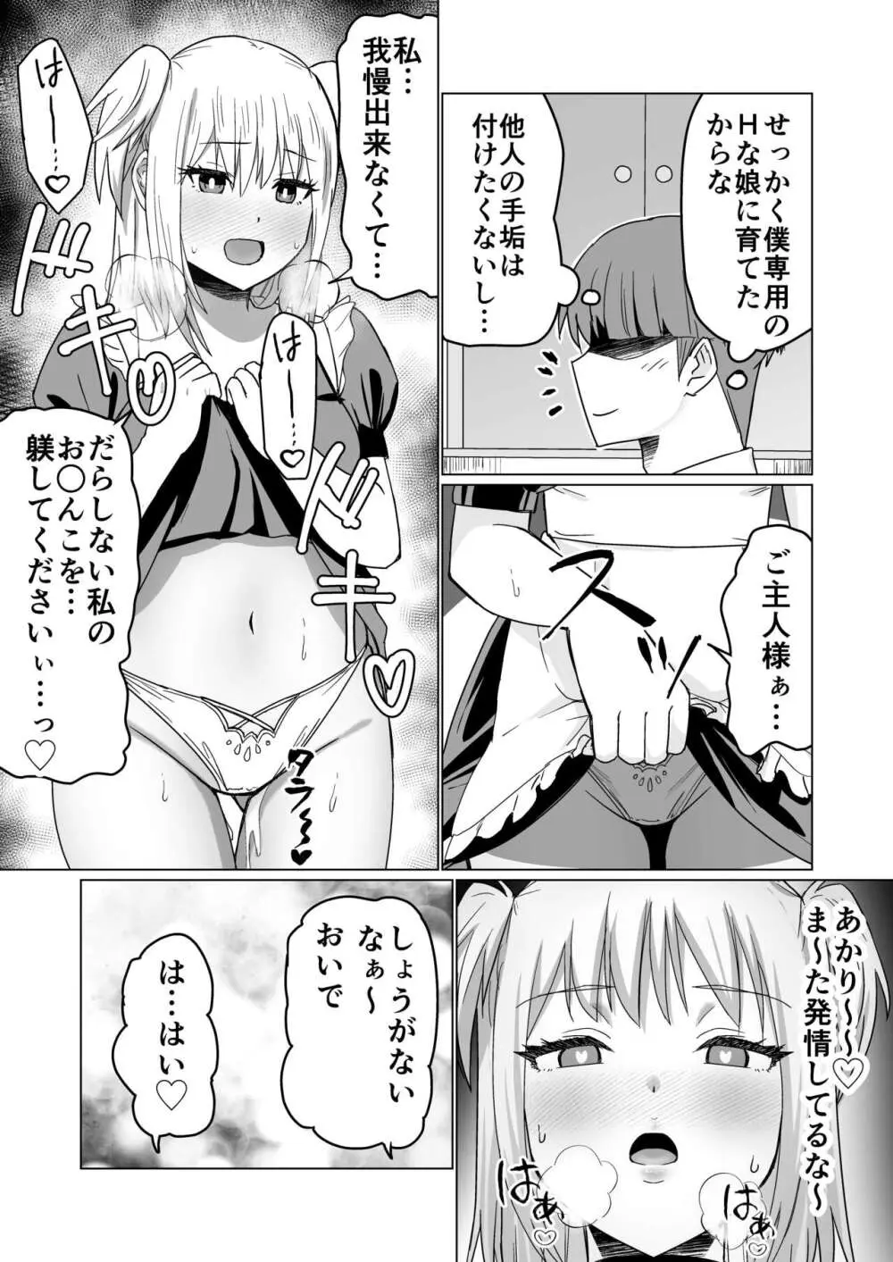 お金持ちの女の子をGETして 自分好みのメス犬に躾ける話。