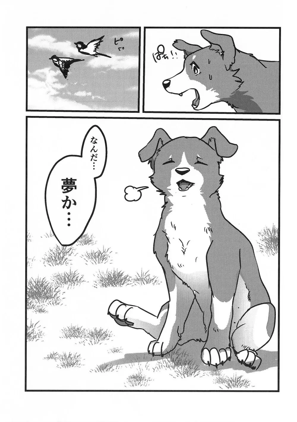 DOG.IN.CAGE コーンじゅういちばい