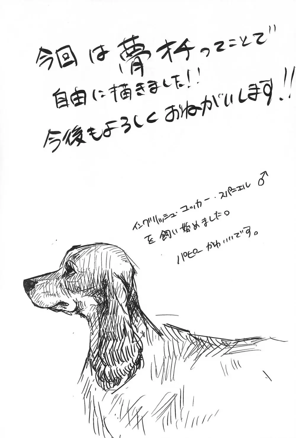 DOG.IN.CAGE コーンじゅういちばい