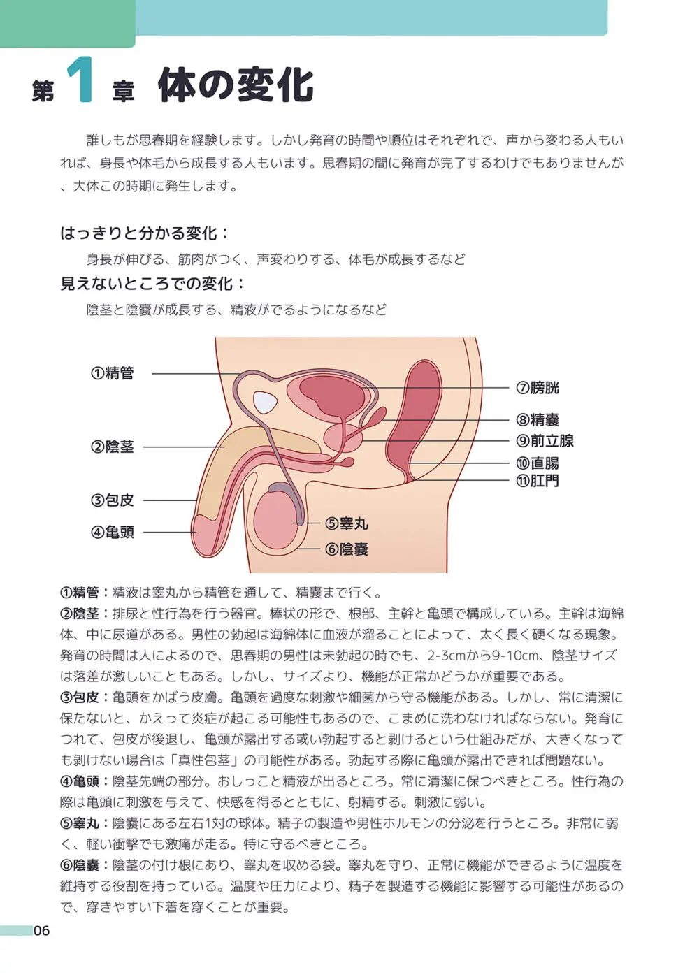 楽しく学ぶ男の子の保健体育