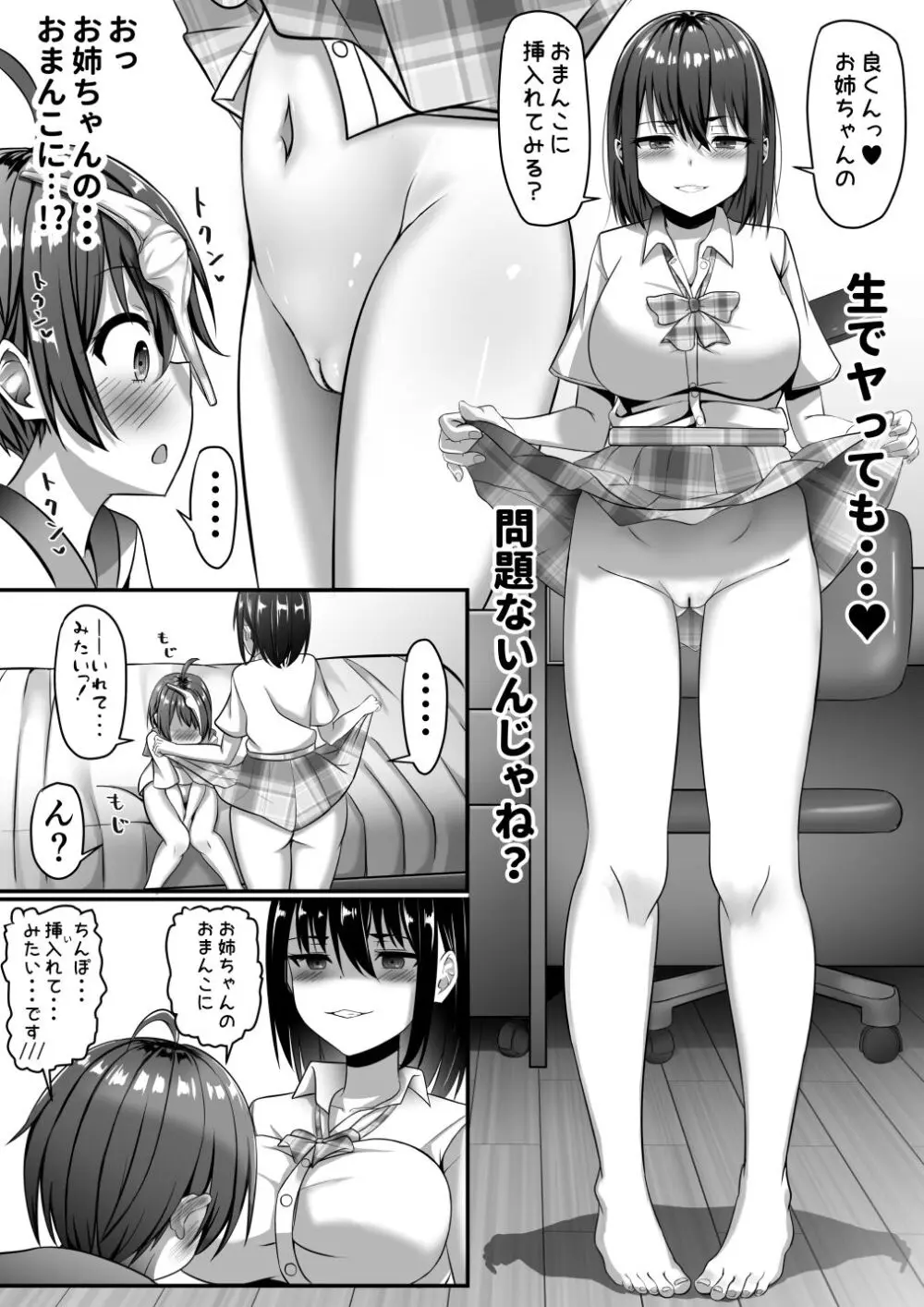 お姉ちゃんは弟の射精が見たい!後編